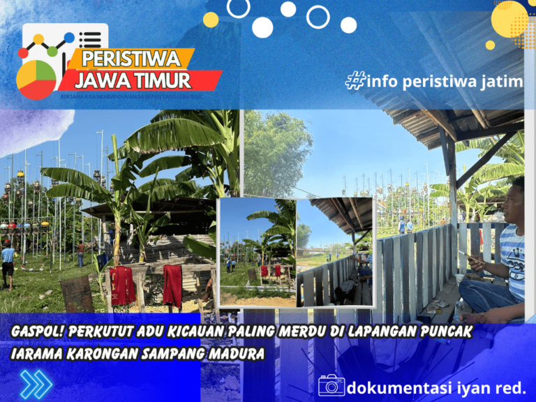 Gaspol! Perkutut Adu Kicauan Paling Merdu di lapangan puncak iarama karongan sampang Madura