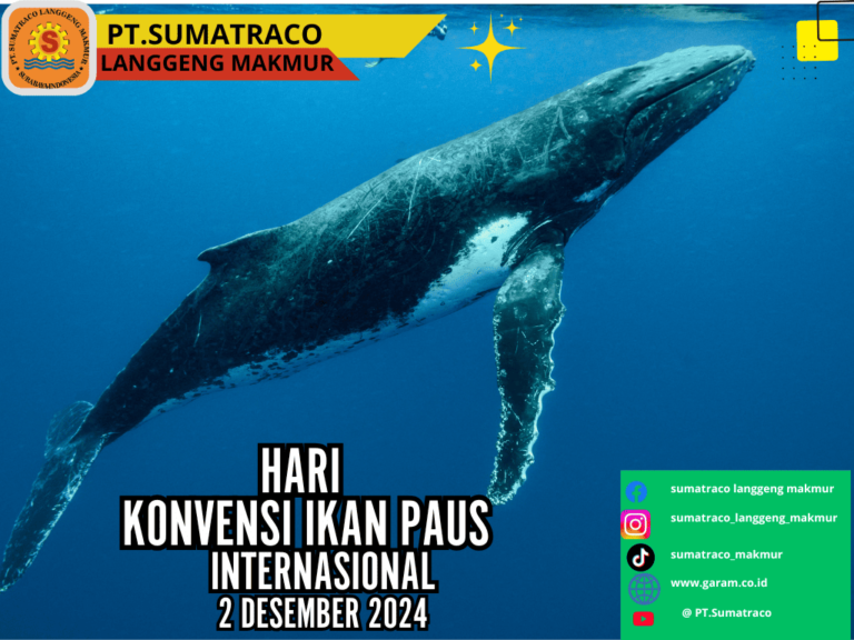 Peringati Hari Konvensi Ikan Paus, PT Sumatraco Langgeng Makmur Adakan Edukasi tentang Pentingnya Pelestarian Laut