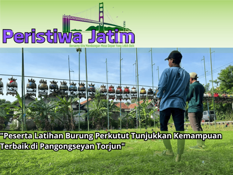 “Peserta Latihan Burung Perkutut Tunjukkan Kemampuan Terbaik di Pangongseyan Torjun”