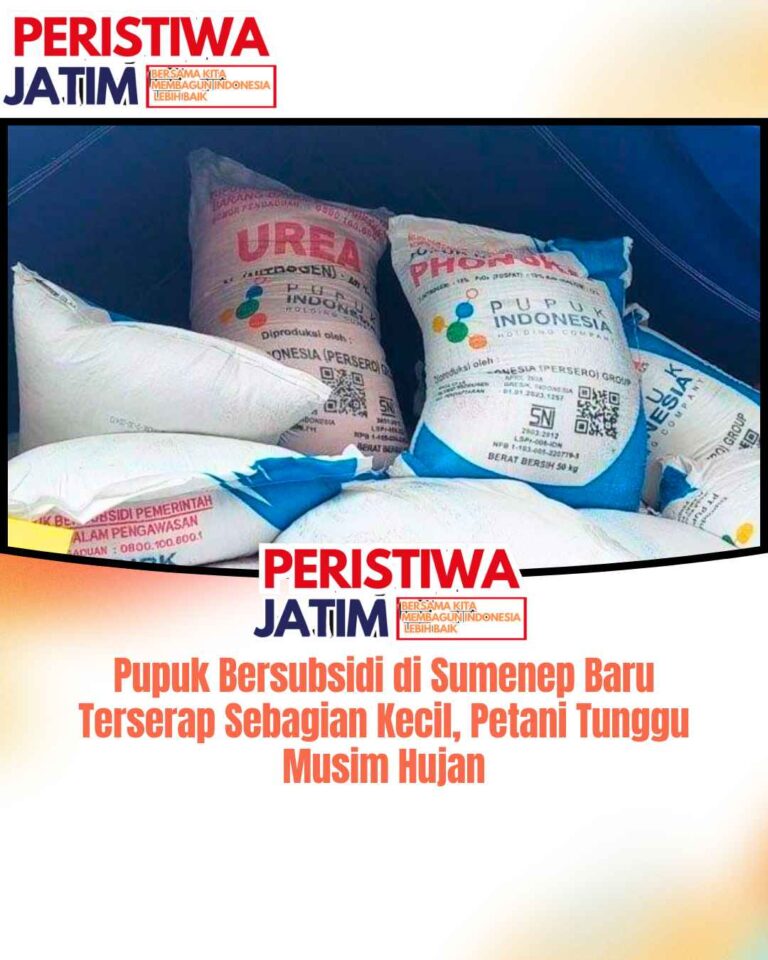 Pupuk Bersubsidi di Sumenep Baru Terserap Sebagian Kecil, Petani Tunggu Musim Hujan