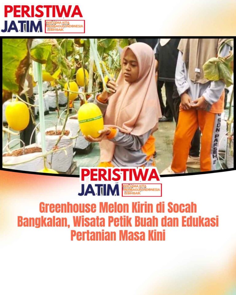 Greenhouse Melon Kirin di Socah Bangkalan, Wisata Petik Buah dan Edukasi Pertanian Masa Kini