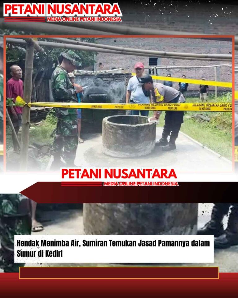 Angin Puting Beliung Terjang Bringkoning Banyuates, Jalur Pantura Sempat Lumpuh Dua Jam